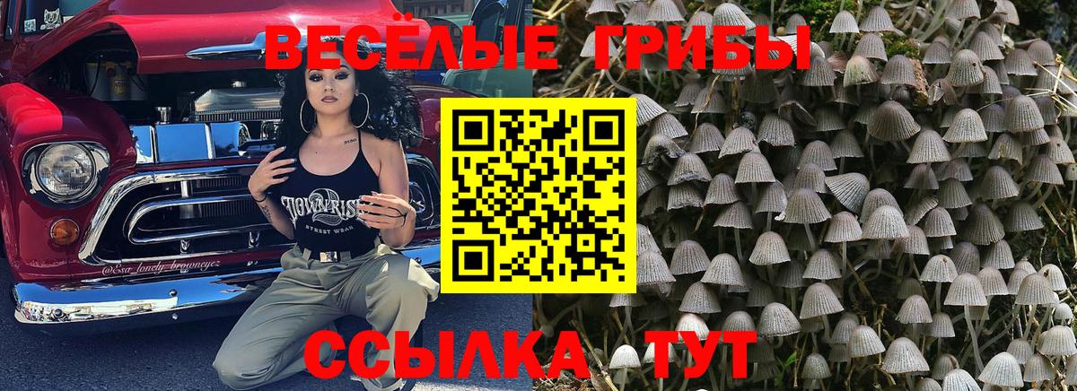 Псилоцибиновые грибы мухоморы  Псилоцибиновые грибы Magic Shrooms  Гай  Вход с VPN 