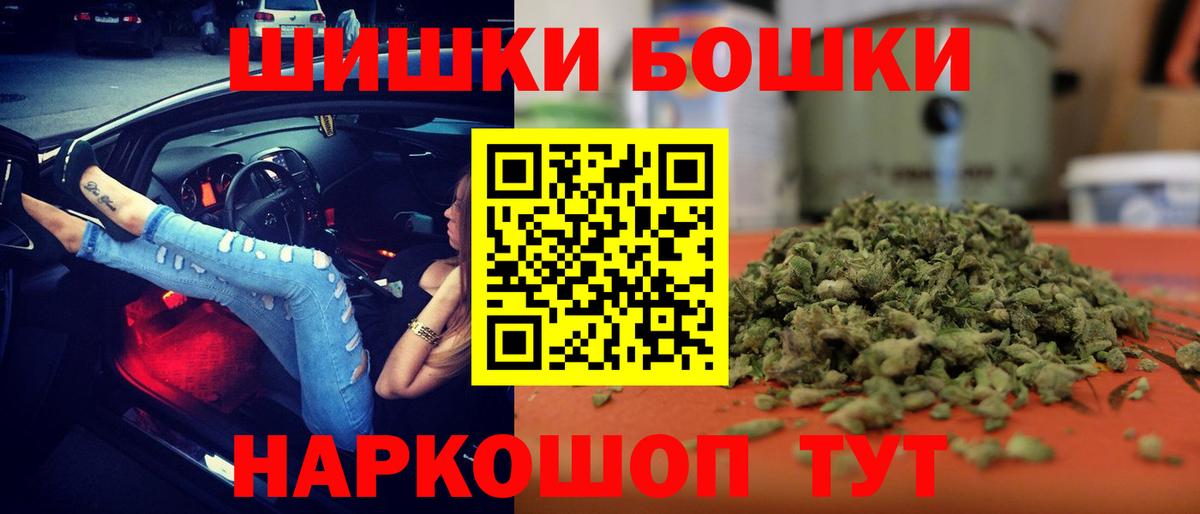 Бошки Шишки планчик Гай